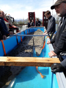 Gabelstapler, Arbeitsbühne, Treppensteiger, Sackkarre, Service München Linde, Manitou, Zonzini News, Antiker Einbaum Bodensee 03